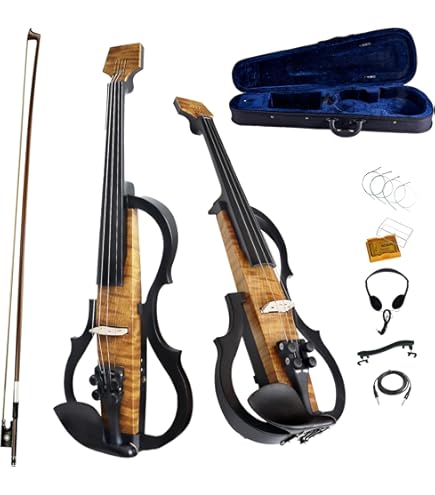 Amazon.com: Carlo giordano Electric violin EV202 (Black) : Musical